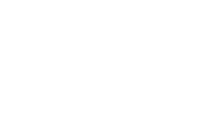 Carolina One Real Estate Logo